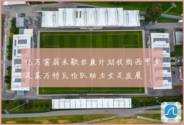 亿万富翁米歇尔康计划收购西甲女足莱万特瓦伦队助力女足发展