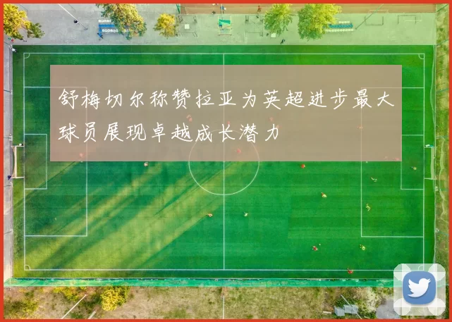 舒梅切尔称赞拉亚为英超进步最大球员展现卓越成长潜力